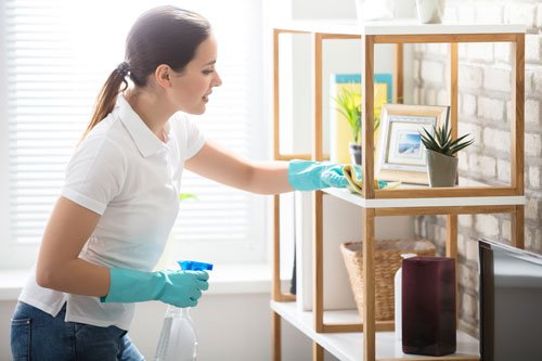 maid cleaning