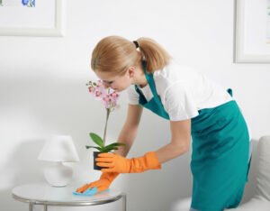 lady cleaning