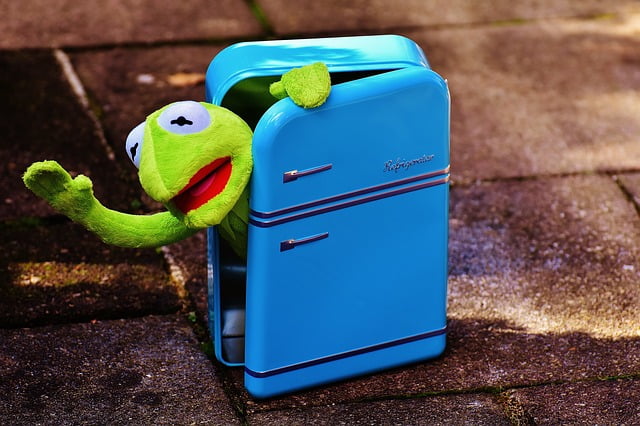 kermit in a fridge